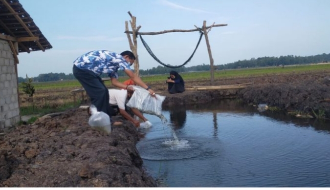 Fraksi Nasdem Lamtim memberikan bantuan benih ikan ke Pokdarwis Mataram Baru