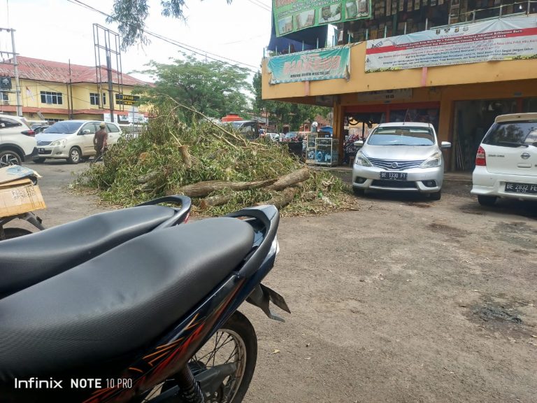 Potongan Pohon yang Tumbang Nampak Terbengkalai di Parkiran Shoping Center